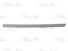 VW 3B0853753AGRU Trim/Protective Strip, door